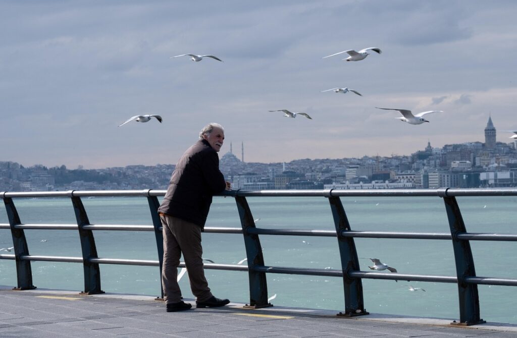 old man, sea, seagulls, nature, man, pier, boardwalk